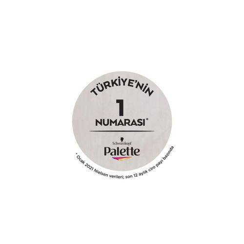 Palette Göz Alıcı Renkler Krem Saç Boyası10-1 Küllü Açık Sarı