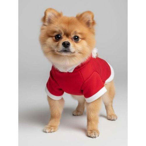 Yılbaşı Ağac Premiumı Kırmızı Polar Köpek Kıyafeti | Kapüşonlu Noel Köpek Sweatshirt | Küçük Irklar İçin
