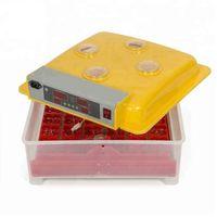 Efe 36 Lık Kuluçka Makinesi