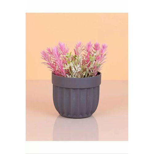 Çizgili Saksı Dikenli Çiçek Royaleks-5781