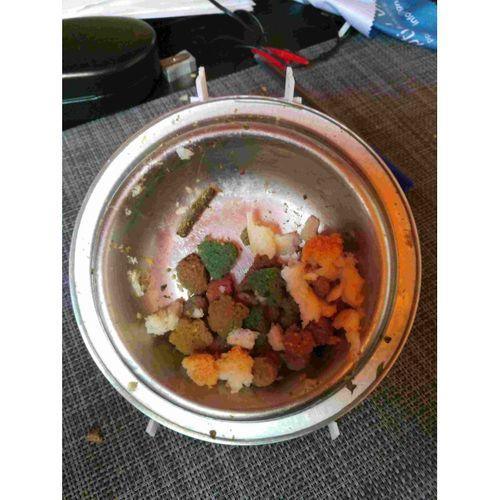Pet Bowl Desteği - 5147974