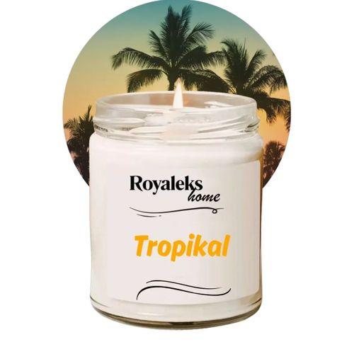 Doğal Özel Seri Kokulu Dekoratif Kavanoz Mum 210 cc - Tropikal Esans - RYL