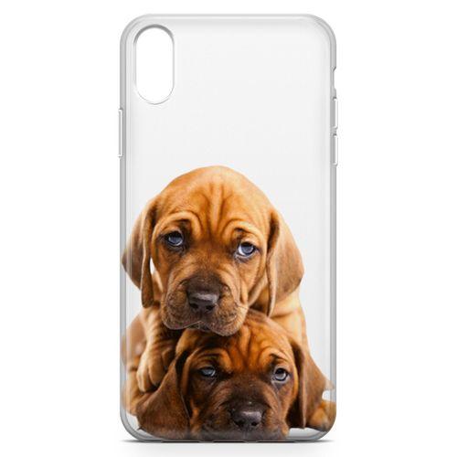 Apple iPhone XR Kılıf Amstaff Dachshund Arka Kapak Koruma Desenli Full Koruyucu