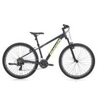 Bianchi Magma Hidrolik Fren 27.5 Jant 21 Vites Tourney Koyu Gri-Yeşil 38 cm