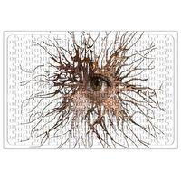 Visao Puzzle 240 Parça Yapboz