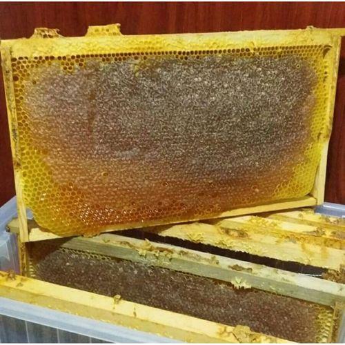 Kars Petek Balı 3,5 kg - Meşhur Kars Çiçek Balı - Kars Yöresel Organik Petek Balı