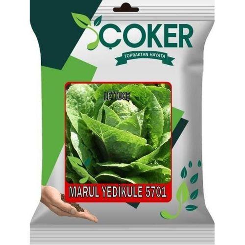 Çoker Marul Yedikule 5701 10 gr