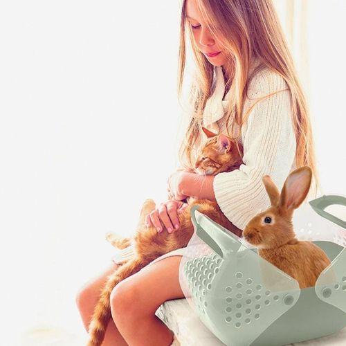 Imac Baggy Kemirgen Taşıma Çantası 3-lü 36x25x29cm