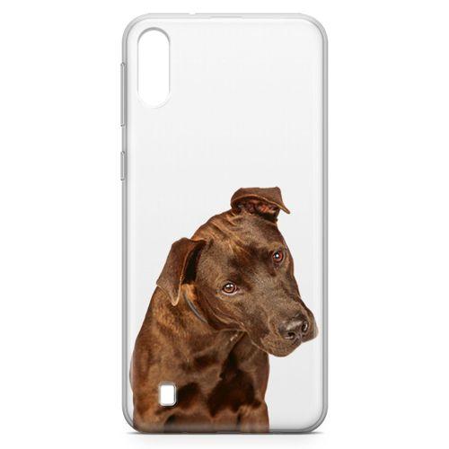 Samsung Galaxy M10 Kılıf Labrador Retriever Arka Kapak Koruma Desenli Full Koruyucu