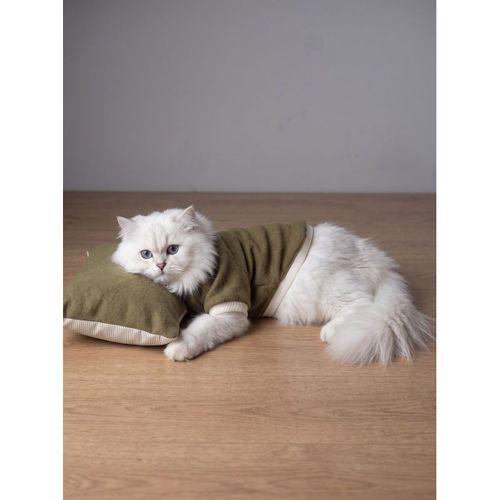 Natura Cozy Pati & Yastık | Nefti Yeşil Polar Kedi Sweatshirt ve Mini Yastık | 2 Parça