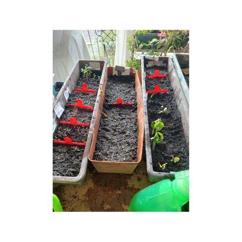 S Pare Semis 3D Baskı (Bu ürün Sadece Plastik parçadır - Almadan Önce Soru Sorabilirsiniz)