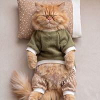 Latte & Matcha Kedi Rüyası | Pamuklu Kedi Tulumu, Polar Sweatshirt ve Mini Yastık | 3 Parça