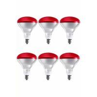 (6 Adet) 250w Kızılötesi Isıtıcılı Hayvan Isıtma Ve Kuluçka Lambası (kırmızı Işık) E27 (kalın Duy)