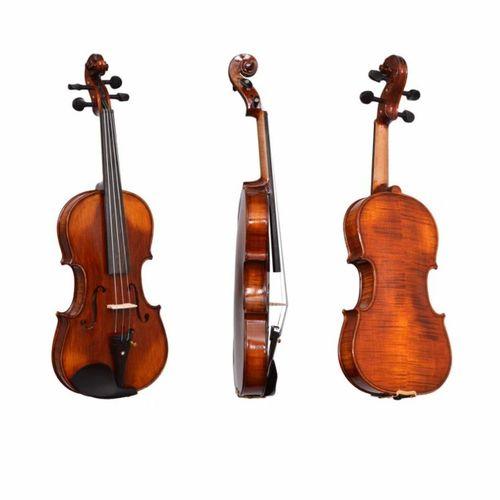 Dominguez Profesyonel Keman 1 2 DVPG12-P1