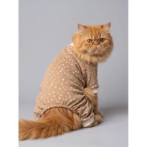 Latte Sprinkles Kedi Tulumu | Pamuklu Penye Kedi Kıyafeti | Küçük Irklar İçin | Tüy Dökülmesini Azaltır