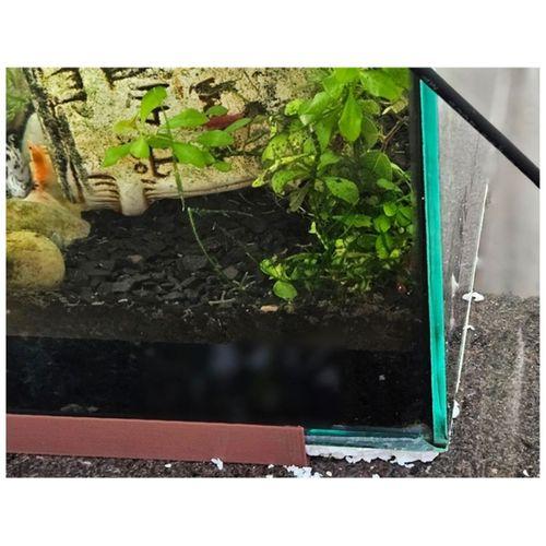 Akvaryum Alt Kapağı (Bu ürün Sadece Plastik parçadır - Almadan Önce Soru Sorabilirsiniz)
