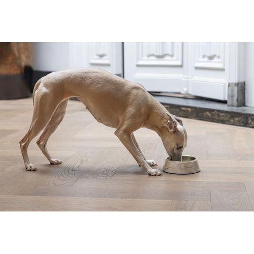 Beeztees DBL Köpek Mama Su Kabı, Mat Altın Rengi Paslanmaz Çelik, Bej Mermer Görünümlü, 17,5cm, 350m