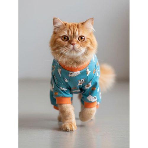 Puggy Pie Kedi Tulumu | Pamuklu Penye Kedi Kıyafeti | Küçük Irklar İçin | Tüy Dökülmesini Azaltır