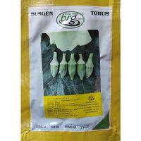 BT Yalova Akköy - Japon Bamya Tohumu 10 gr