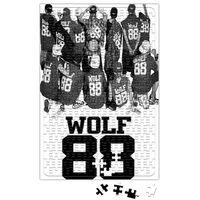 Exo Wolf 88 Puzzle 240 Parça Yapboz