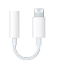 ZR58 Lightning Aux Çevirici