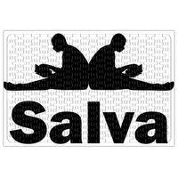 Salva Puzzle 240 Parça Yapboz