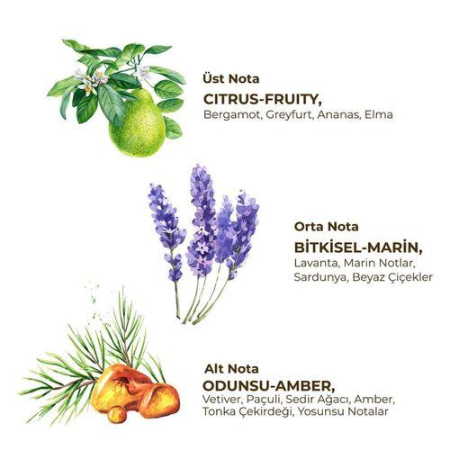 Sylvanian Families Bebek Denizkızı Dükkanı 5878