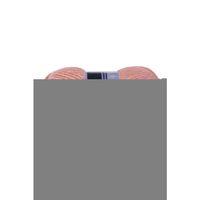 1 Adet Sport Wool Atkı Bere Ceket Yelek Örgü İpi Yünü No: 2807 Bonsai Çiçeği