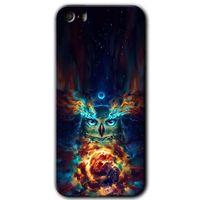 iPhone 5s HD Baskılı Kılıf + 9D Tam Ekran Koruyucu - Ballı Baykuş