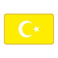 SEVGENT Cg Şeffaf Sarı Bayrak Far Filmi