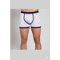Berrak Çapa Ve Çizgi Baskı Erkek  Boxer 1107