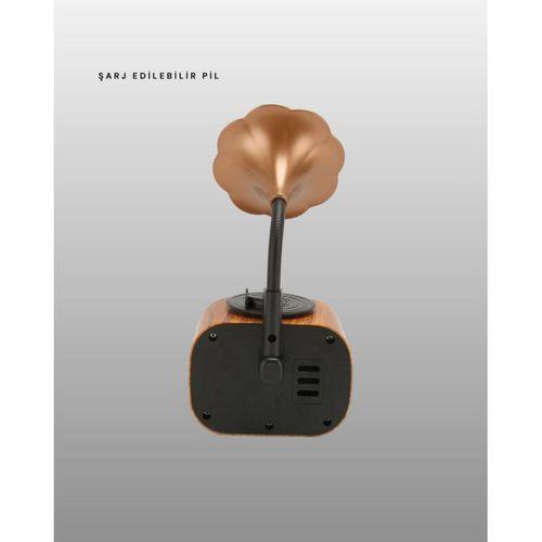Kablosuz Retro Radyo Hoparlör 5w Güçlü Ses Usb Hafıza Kart Destekli Yeni Nesil