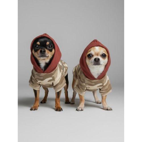 Safari Friends Kapüşonlu Köpek Sweatshirt – Küçük Irklar