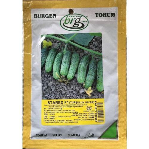 Starex F1 Turşuluk Hıyar Tohumu 10 Gr Burgen Tohum