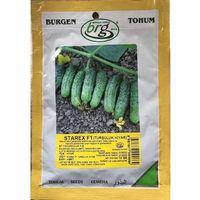 Starex F1 Turşuluk Hıyar Tohumu 10 Gr Burgen Tohum