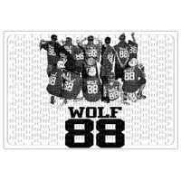 Exo Wolf 88 Puzzle 240 Parça Yapboz