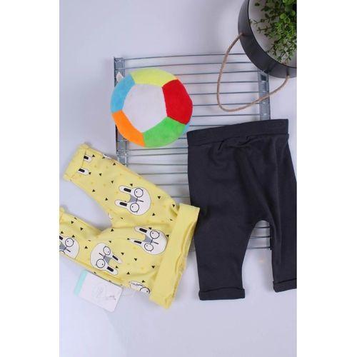 Erkek Bebek Desenli 2'li Pantolon 3/12 Ay