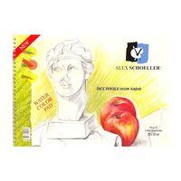 ALEX SPİRALLİ RESİM DEFTER (25* 35 cm) 120 Gram 15 Yaprak ( ALEX -826)