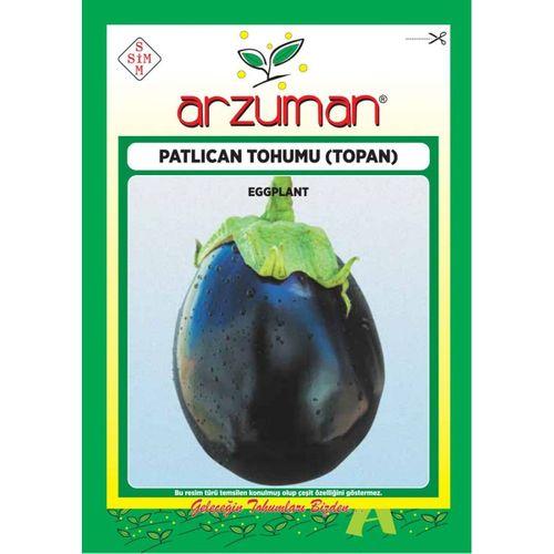 Top Patlıcan Tohumu (10 Gr) Topan Çeşidi