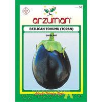 Top Patlıcan Tohumu (10 Gr) Topan Çeşidi