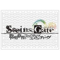 Steins Gate Puzzle 240 Parça Yapboz