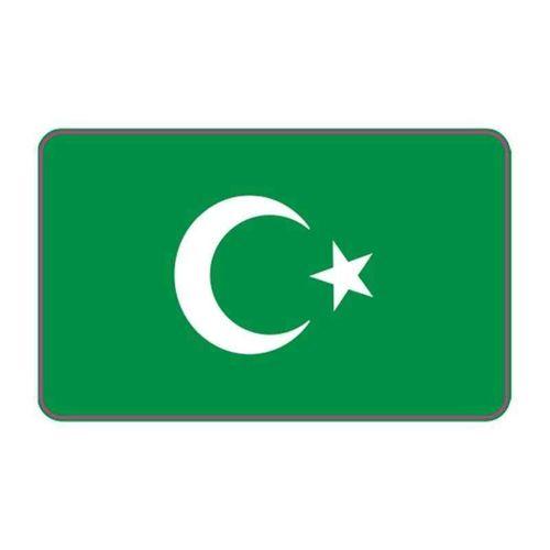 SEVGENT Cg Şeffaf Yeşil Bayrak Far Filmi