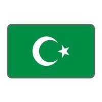 SEVGENT Cg Şeffaf Yeşil Bayrak Far Filmi