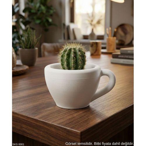 Beyaz Mini Dekoratif Fincan Şeklinde Saksı 6 Cm Masa Üstü Ofis Ev Dekoru