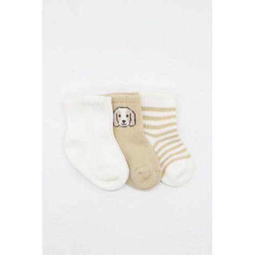 Bistyle Bistyle Dog Boy 3'lü Penye Soket Çorap 10134 Ekru