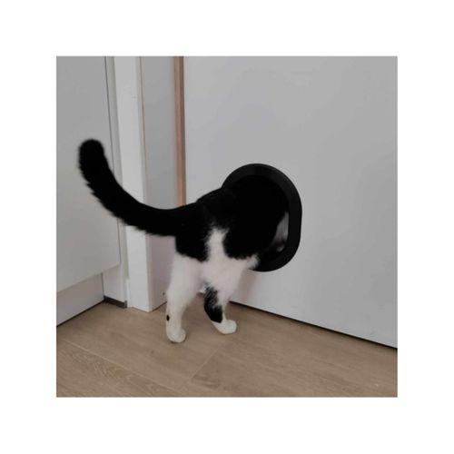 Kedi Kapısı