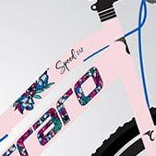 Carraro Speed 242 21 Vites 24 Jant Dağ Bisikleti Toz Pembe-Mavi