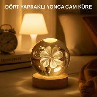 Usb Bağlantılı Yonca Bitkili Cam Küre Ahşap Altlıklı Dekoratif Lamba