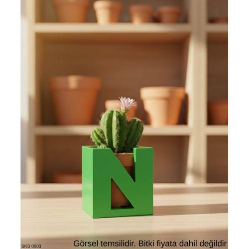 Yeşil Harf Şeklinde Mini Dekoratif Saksı  Kişiye Özel Baş Harf Tasarım Masaüstü Ofis Dekoru 7 Cm