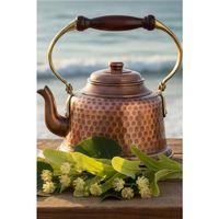 Turna Bakır Maraş Demlik El Dövme Oksit Turna1965-3